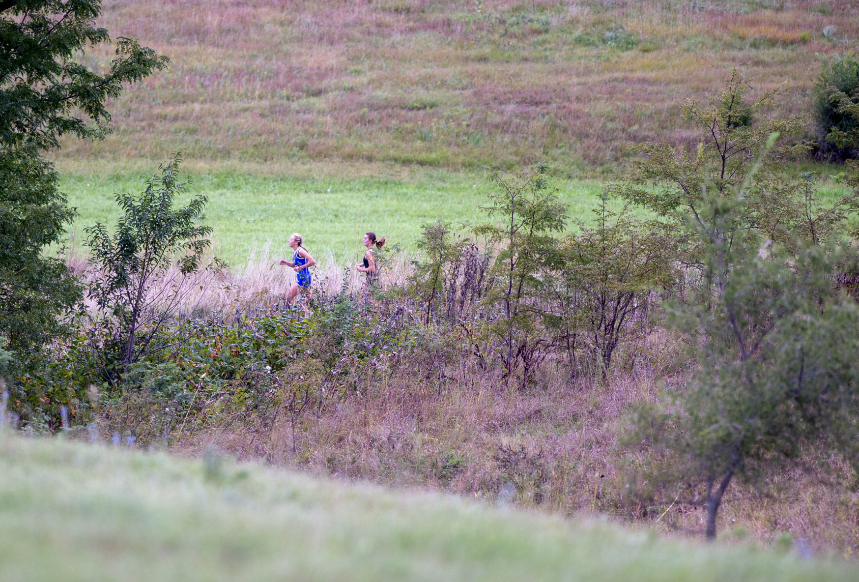 Cross Country, 10.4